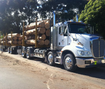 TractionAir Forestry