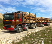 TractionAir Forestry